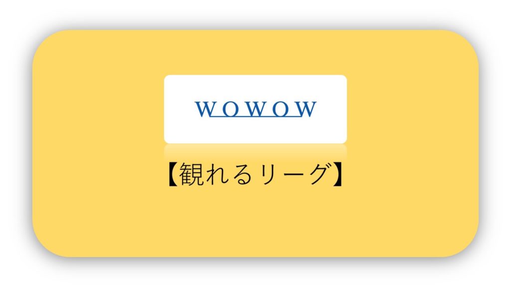 Wowowでサッカー観戦 料金 観れるリーグなど徹底解説